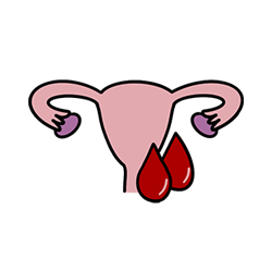 bleeding after the menopause