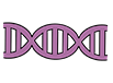 Living with genetic risk of cancer