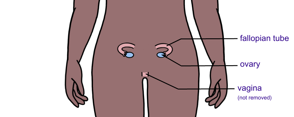 After the womb and cervix are removed